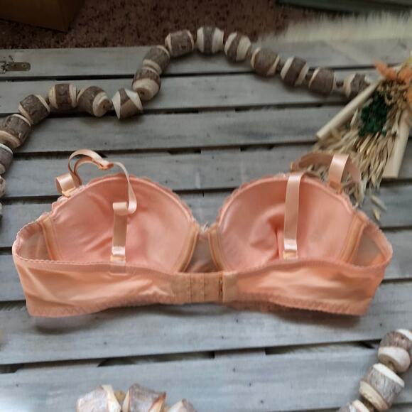 Donna Loren Embroidered Floral Shiny Padded Bra - Picture 3 of 6